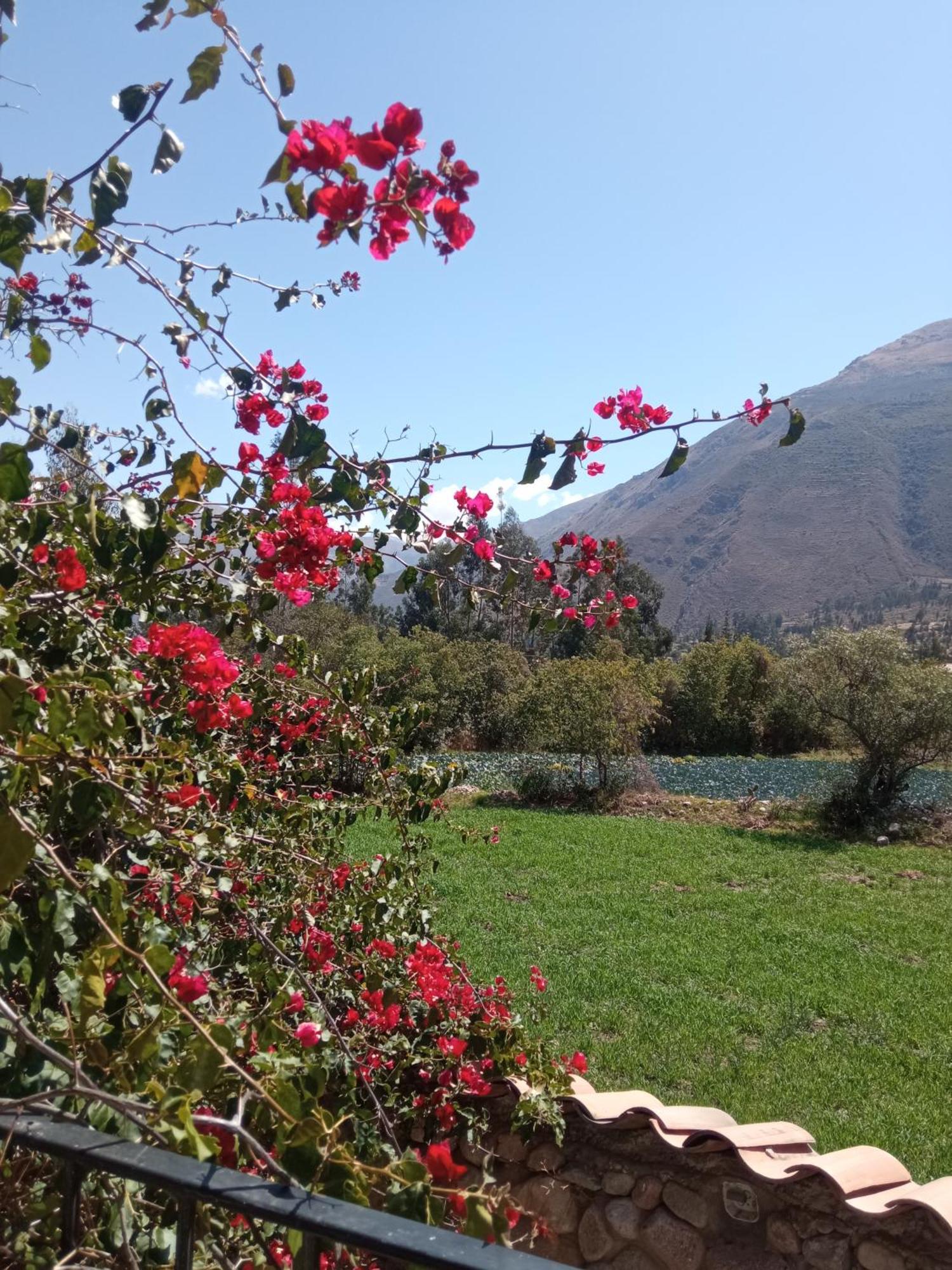 Casa de Mama Valle - Urubamba Exterior foto